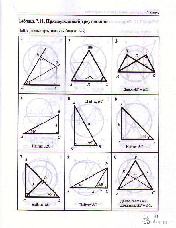 Геометрия задачи и упражнения на готовых чертежах 10-11 классы рабинович е