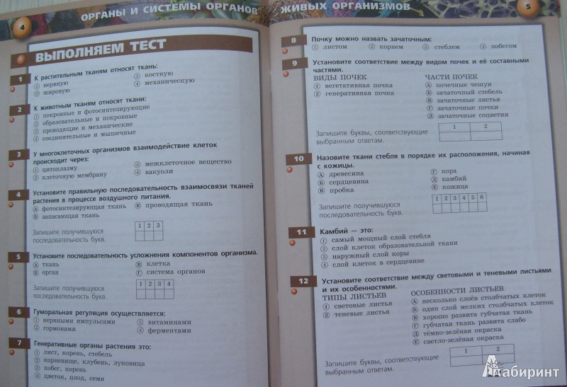 Учебник Углубленный По Алгебре 8 Класс