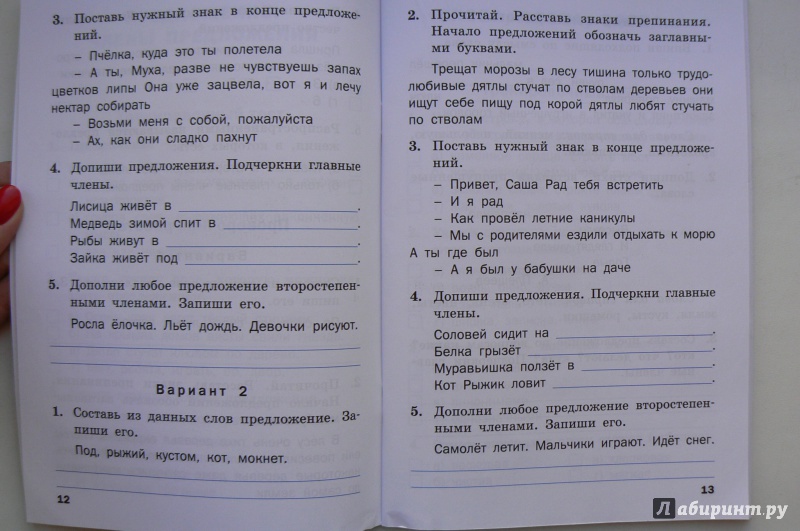 Тренировочные И Проверочные Работы По Русскому Языку 3 Класс Решебник