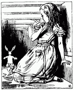 Какого цвета был кролик, за которым погналась главная героиня "Алисы в Стране Чудес"?