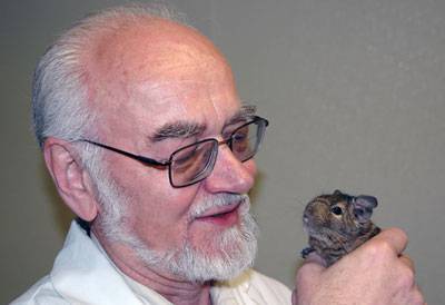 В 2003 году профессор Панксепп открыл, что эти животные тоже умеют смеяться.