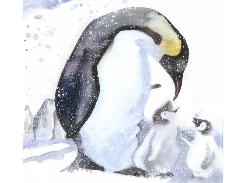 Иллюстрация 8 из 82 для Пингвин, который хотел все знать - Джилл Томлинсон | Лабиринт - книги. Источник: Папмамбук