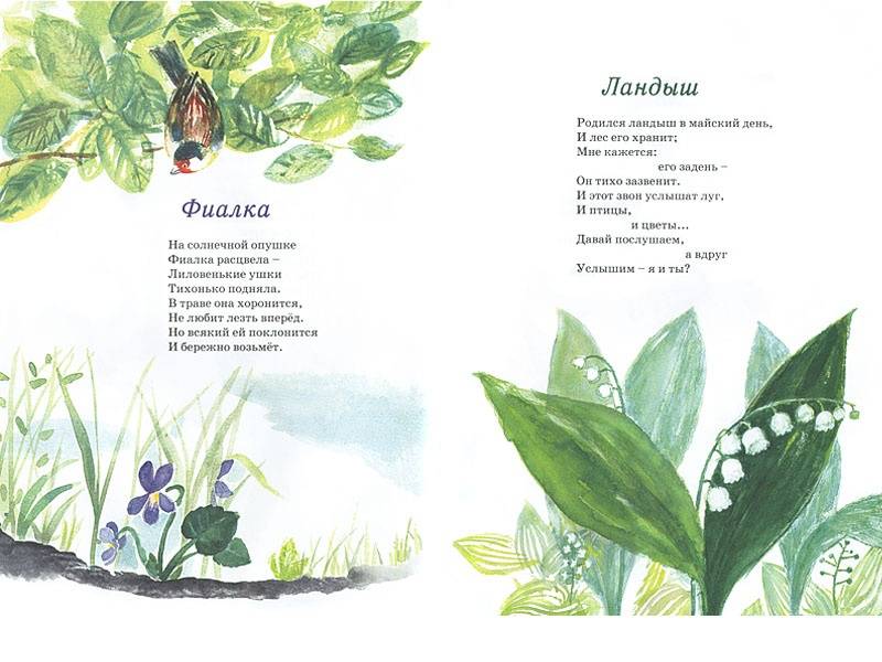 Иллюстрация 3 из 69 для Наши цветы - Екатерина Серова | Лабиринт - книги. Источник: Папмамбук
