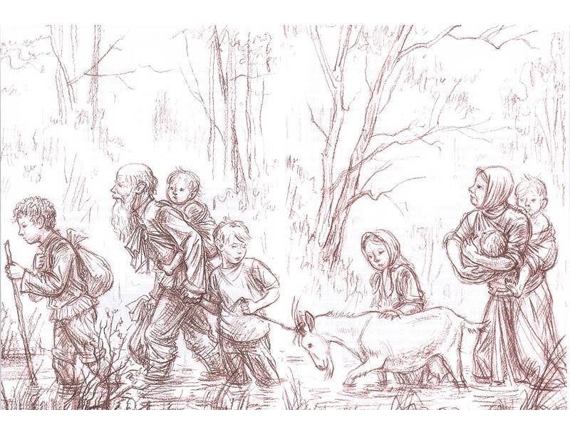 Иллюстрация 12 из 74 для Болотные робинзоны - Софья Радзиевская | Лабиринт - книги. Источник: Папмамбук
