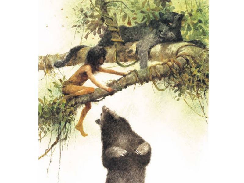 Иллюстрация 6 из 164 для Книга джунглей - Редьярд Киплинг | Лабиринт - книги. Источник: Папмамбук