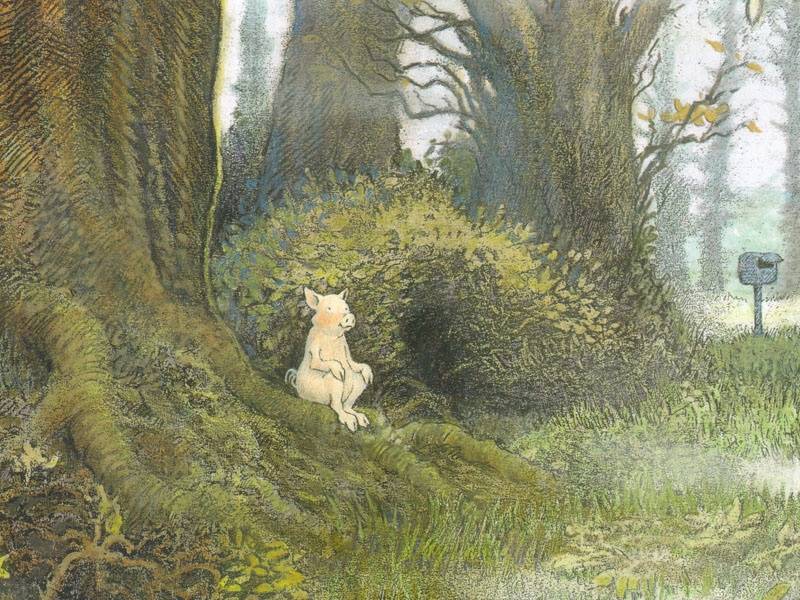 Иллюстрация 10 из 13 для Домик в лесу (иллюстрации Инги Мур) - Инга Мур | Лабиринт - книги. Источник: Папмамбук