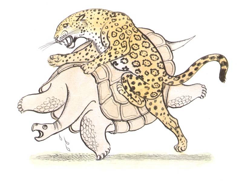 Иллюстрация 7 из 73 для Сказки сельвы: сказки о животных - Орасио Кирога | Лабиринт - книги. Источник: Папмамбук