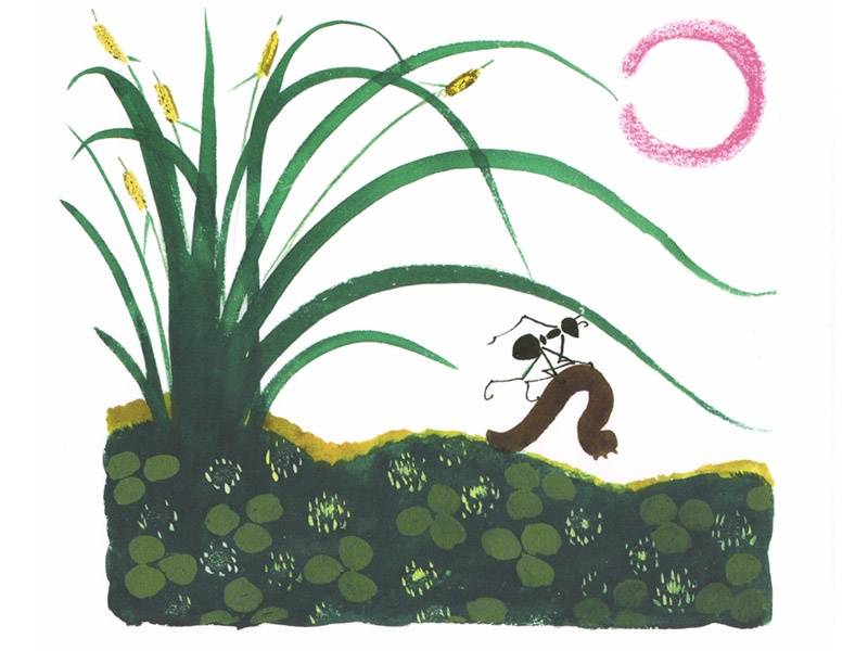 Иллюстрация 5 из 59 для Как муравьишка домой спешил - Виталий Бианки | Лабиринт - книги. Источник: Папмамбук