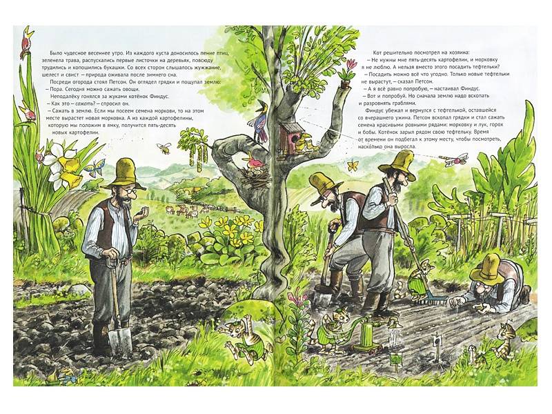Иллюстрация 8 из 64 для Переполох в огороде - Свен Нурдквист | Лабиринт - книги. Источник: Папмамбук
