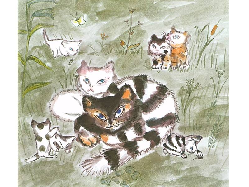 Иллюстрация 5 из 30 для Сказка про кота, который жил миллион раз - Йоко Сано | Лабиринт - книги. Источник: Папмамбук