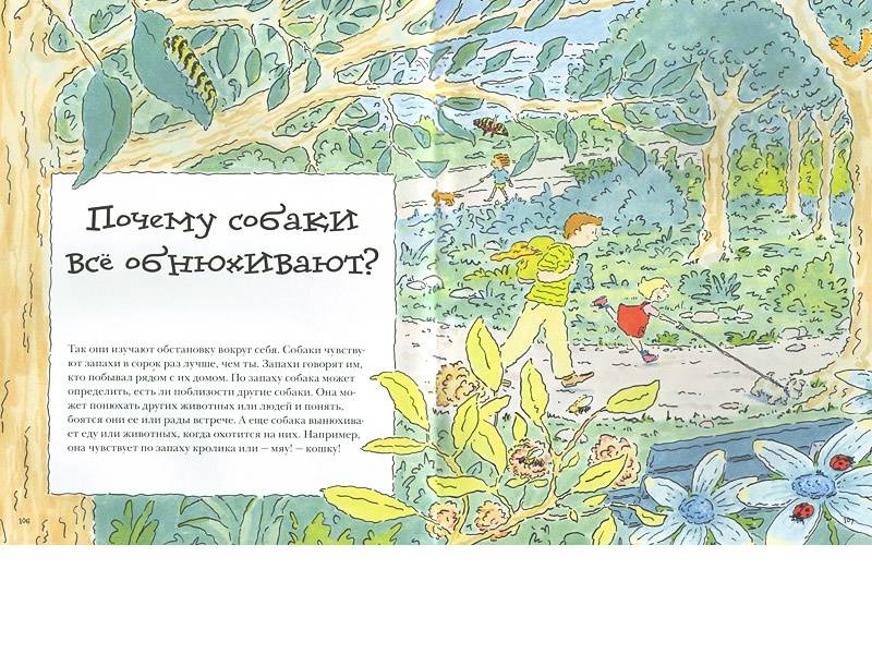 Иллюстрация 33 из 122 для Почему? Самые интересные детские вопросы о природе, науке и мире вокруг нас - Кэтрин Рипли | Лабиринт - книги. Источник: Папмамбук