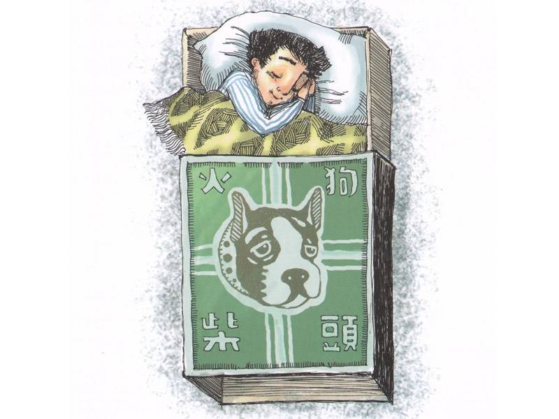 Иллюстрация 9 из 48 для Мальчик из спичечной коробки - Эрих Кестнер | Лабиринт - книги. Источник: Папмамбук
