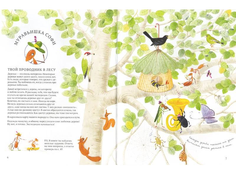 Иллюстрация 29 из 46 для Софи в мире деревьев - Стефан Каста | Лабиринт - книги. Источник: Папмамбук
