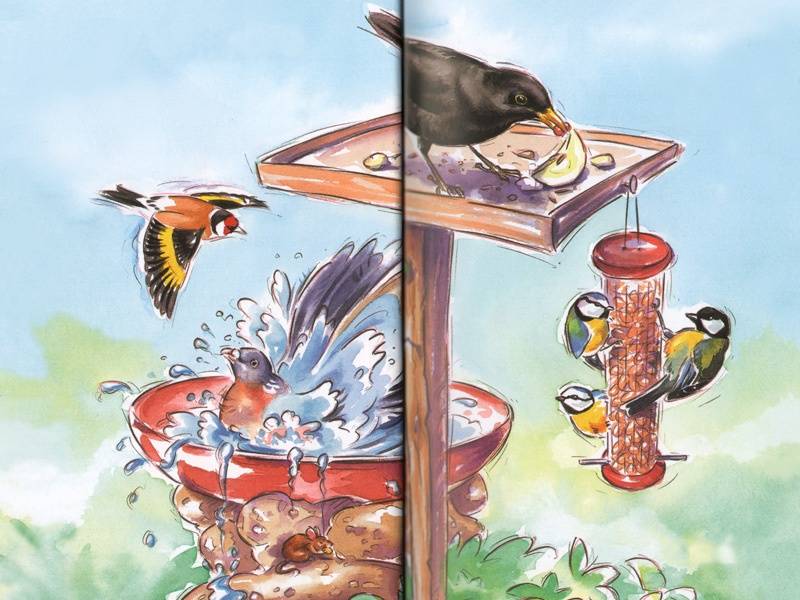 Иллюстрация 6 из 16 для Кто живет у нас на даче. Птицы - Анвин, Уиттли | Лабиринт - книги. Источник: Папмамбук