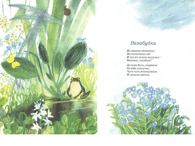 Иллюстрация 7 из 69 для Наши цветы - Екатерина Серова | Лабиринт - книги. Источник: Папмамбук