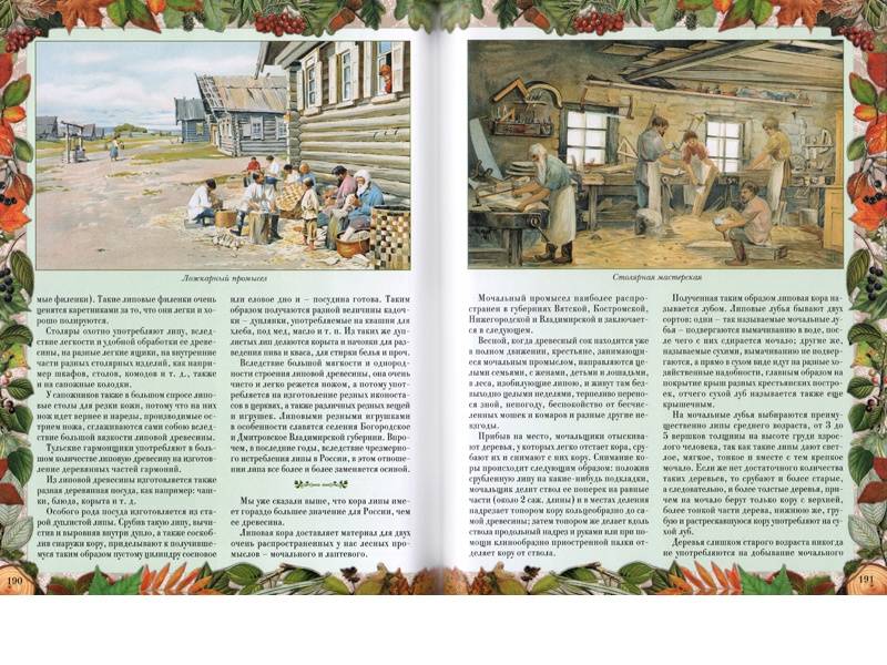 Иллюстрация 4 из 33 для Беседы о русском лесе - Дмитрий Кайгородов | Лабиринт - книги. Источник: Папмамбук