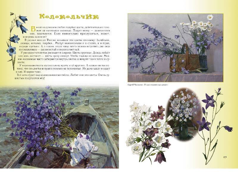 Иллюстрация 4 из 94 для Прогулки по лесу - Сергей Махотин | Лабиринт - книги. Источник: Папмамбук