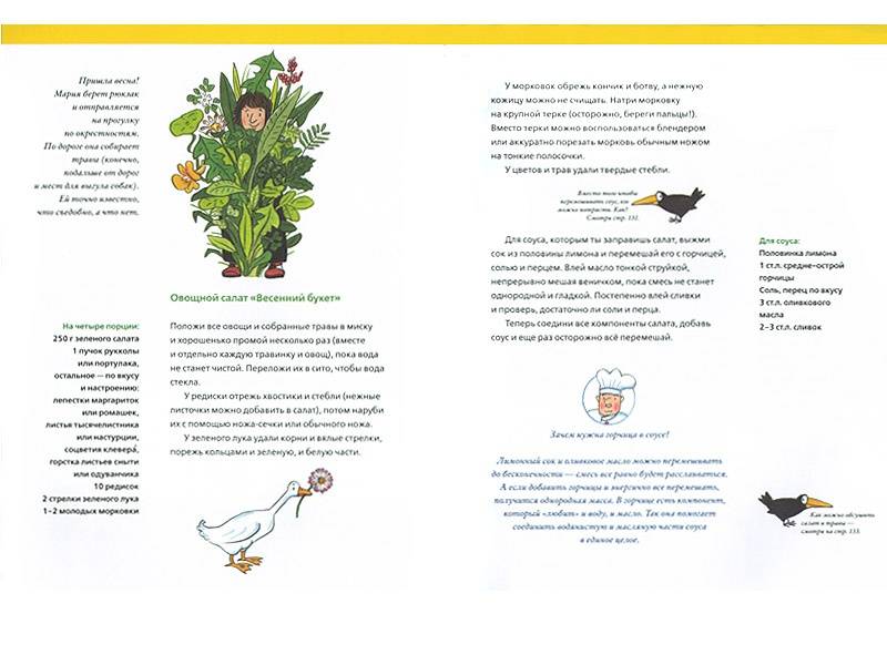 Иллюстрация 5 из 44 для Большая кулинарная книга Городка. Рецепты на каждое время года - Бернер, фон | Лабиринт - книги. Источник: Папмамбук