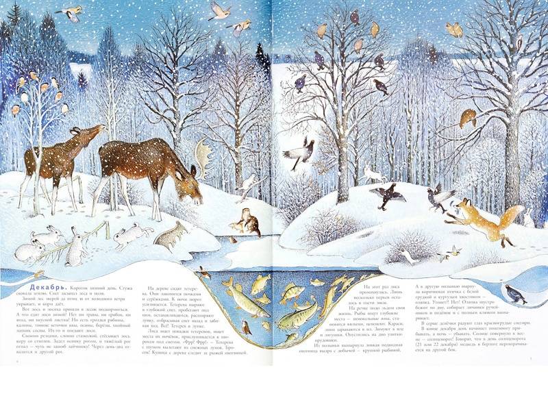 Иллюстрация 6 из 109 для В лесу - Петр Багин | Лабиринт - книги. Источник: Папмамбук