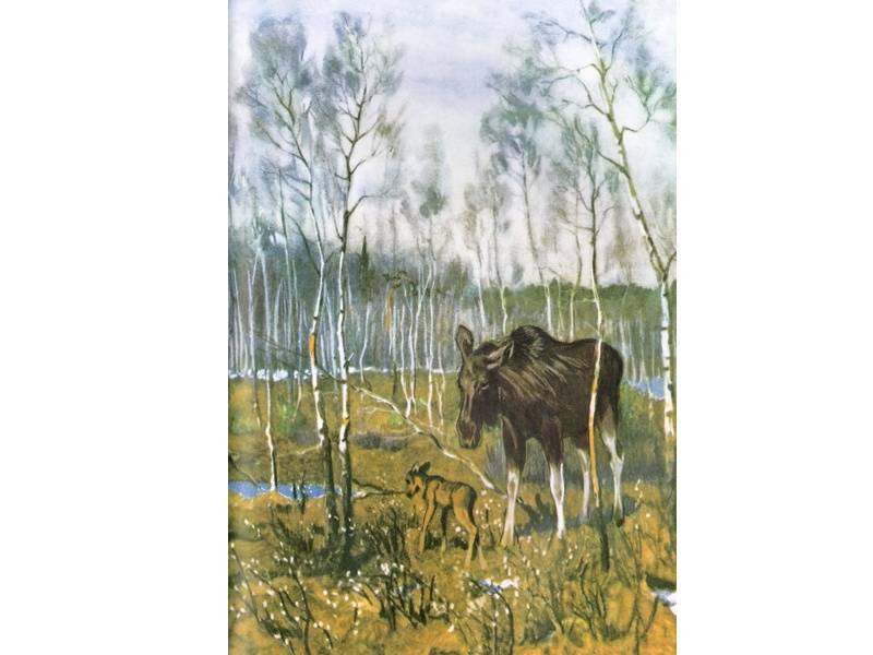 Иллюстрация 4 из 69 для Год в лесу - Иван Соколов-Микитов | Лабиринт - книги. Источник: Папмамбук