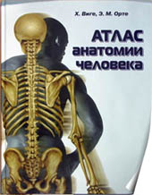Атлас анатомии человека. Лабиринт