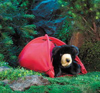 Медведь в палатке 