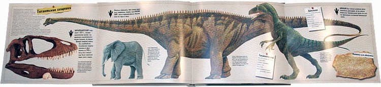 Разворот книги "Динозавры. Короли мезозоя". Издательство "Махаон"