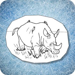 Из чего состоят рога носорогов?