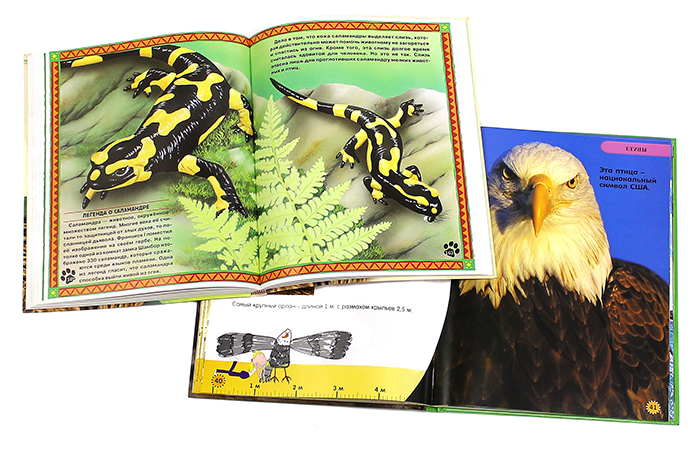 Книги о животных издательства «Лабиринт Пресс»