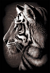 Гравюра-мини медная Тигр