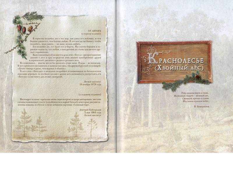 Иллюстрация 5 из 33 для Беседы о русском лесе - Дмитрий Кайгородов | Лабиринт - книги. Источник: Папмамбук