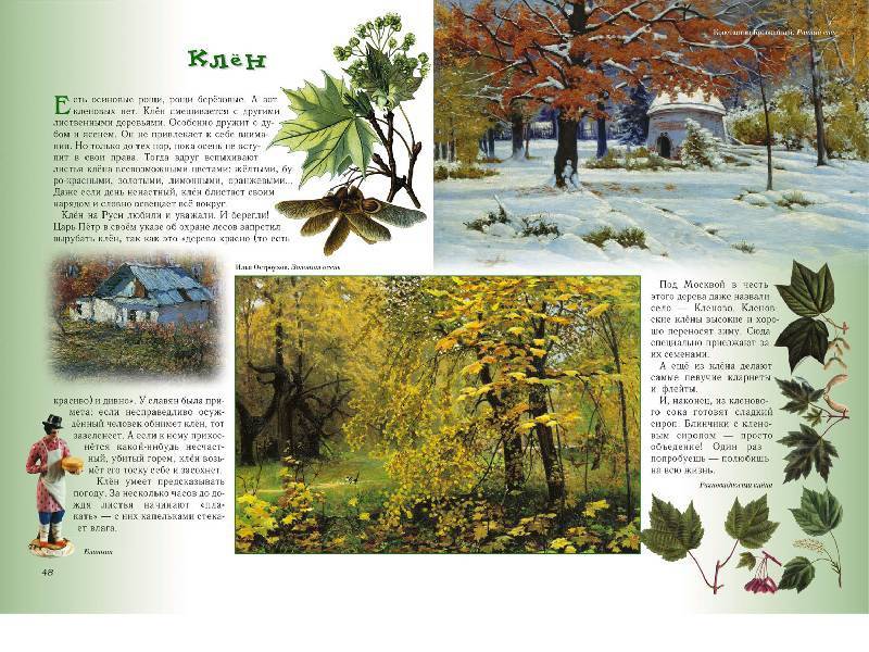Иллюстрация 2 из 94 для Прогулки по лесу - Сергей Махотин | Лабиринт - книги. Источник: Папмамбук
