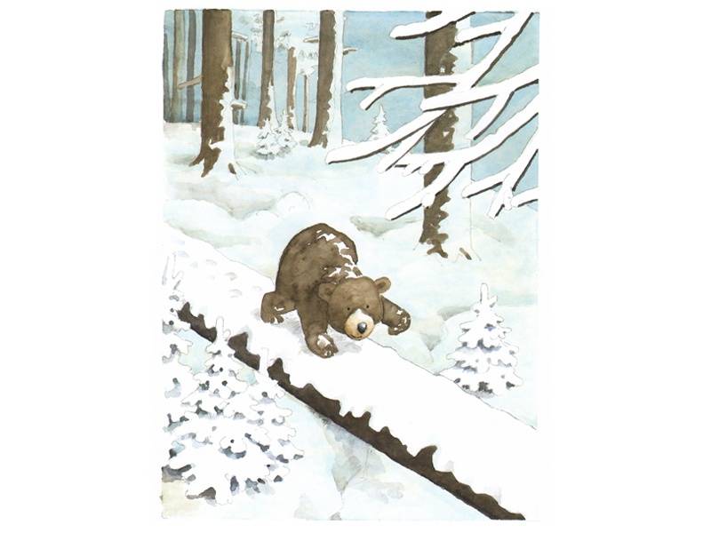 Иллюстрация 15 из 18 для Ложись спать, медвежонок! - Ян Могенсен | Лабиринт - книги. Источник: Папмамбук