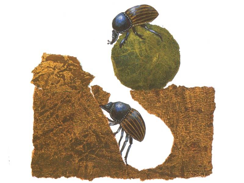 Иллюстрация 6 из 32 для Гнезда, норы и горшки. Как насекомые заботятся о потомстве - Анне Меллер | Лабиринт - книги. Источник: Папмамбук