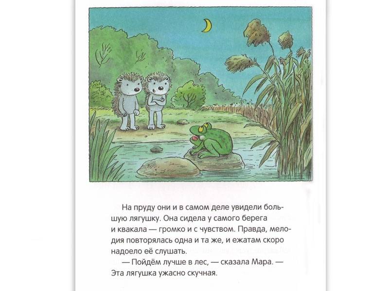 Иллюстрация 4 из 42 для Где спит мышка? Весенние и летние истории - Эрвин Мозер | Лабиринт - книги. Источник: Папмамбук