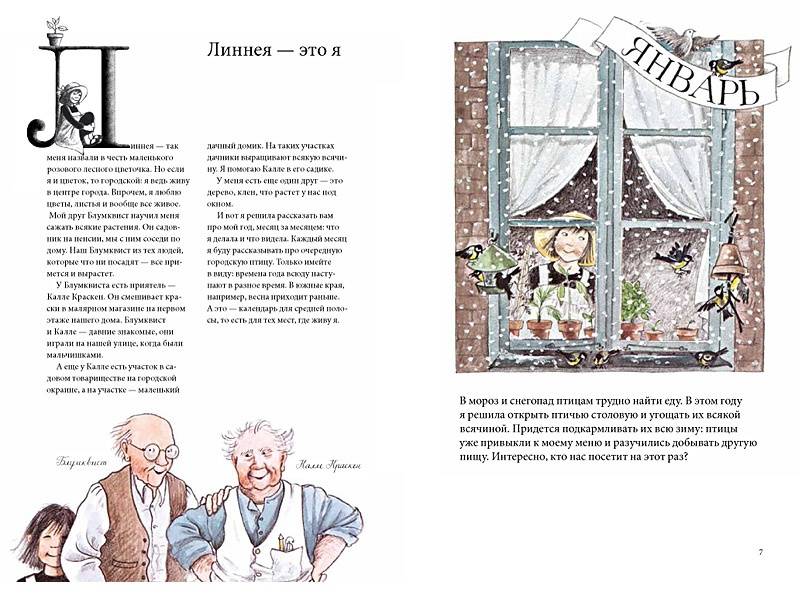 Иллюстрация 8 из 33 для Календарь Линнеи - Кристина Бьорк | Лабиринт - книги. Источник: Папмамбук
