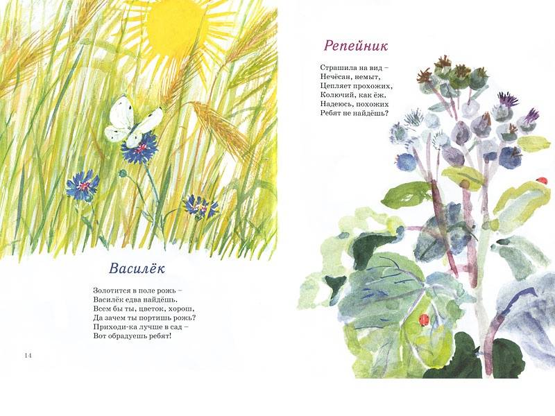Иллюстрация 6 из 69 для Наши цветы - Екатерина Серова | Лабиринт - книги. Источник: Папмамбук