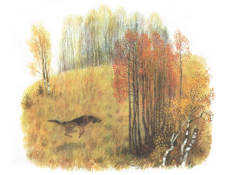 Иллюстрация 4 из 32 для Арктур - гончий пёс - Юрий Казаков | Лабиринт - книги. Источник: Папмамбук