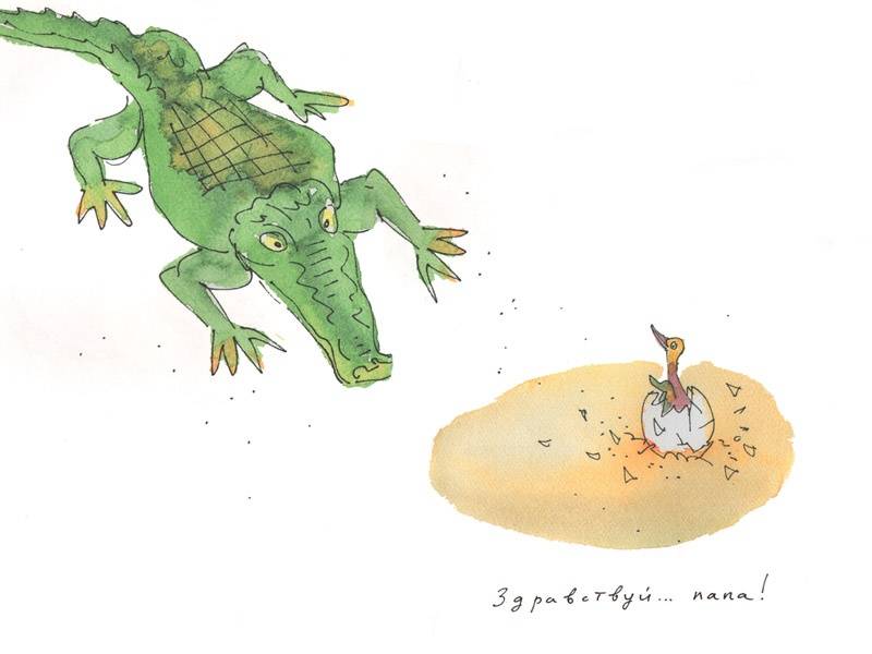 Иллюстрация 2 из 28 для Что случилось с крокодилом - Марина Москвина | Лабиринт - книги. Источник: Папмамбук