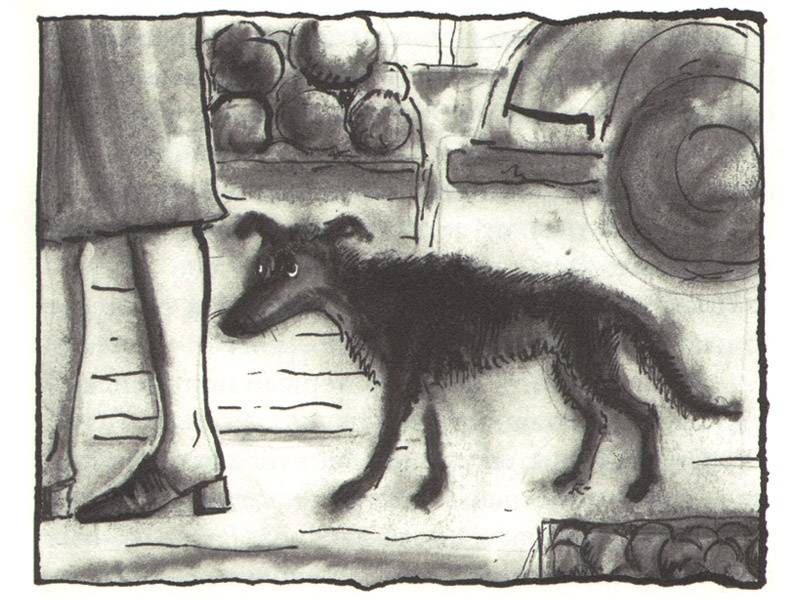 Иллюстрация 8 из 25 для Собака Пес - Даниэль Пеннак | Лабиринт - книги. Источник: Папмамбук