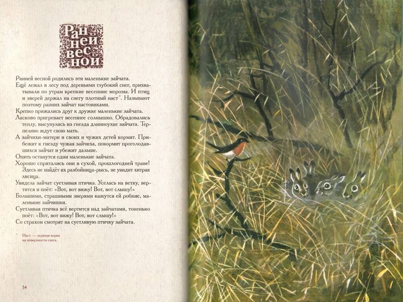 Иллюстрация 3 из 69 для Год в лесу - Иван Соколов-Микитов | Лабиринт - книги. Источник: Папмамбук