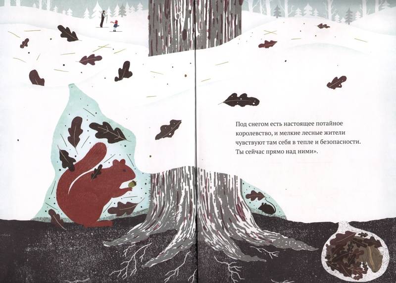 Иллюстрация 7 из 45 для На снегу и под снегом - Кейт Месснер | Лабиринт - книги. Источник: Папмамбук
