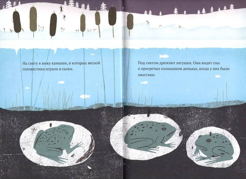 Иллюстрация 4 из 45 для На снегу и под снегом - Кейт Месснер | Лабиринт - книги. Источник: Папмамбук