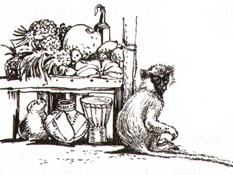 Иллюстрация 6 из 16 для Гончие Бафута - Джеральд Даррелл | Лабиринт - книги. Источник: Папмамбук