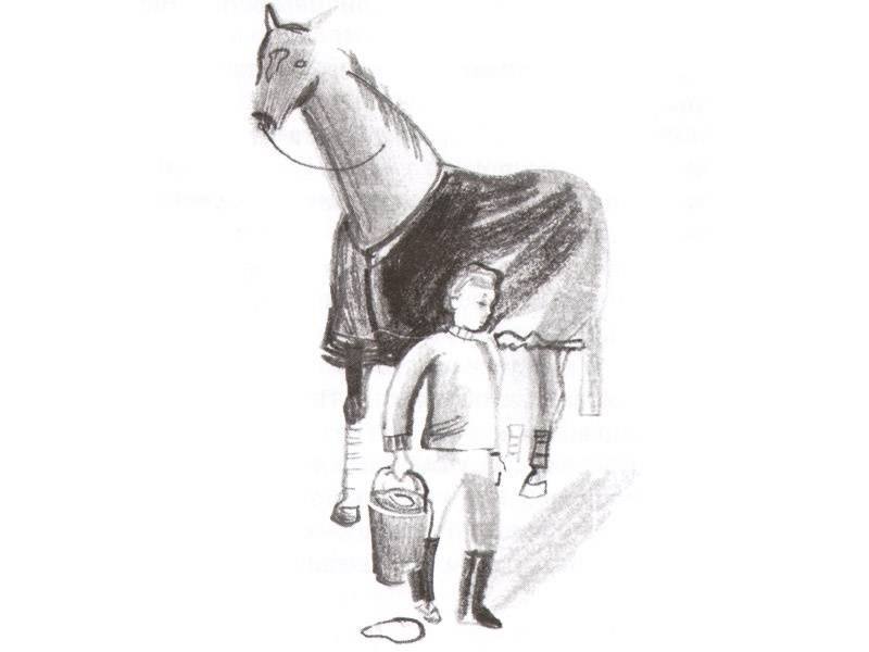 Иллюстрация 7 из 22 для Самый красивый конь - Борис Алмазов | Лабиринт - книги. Источник: Папмамбук