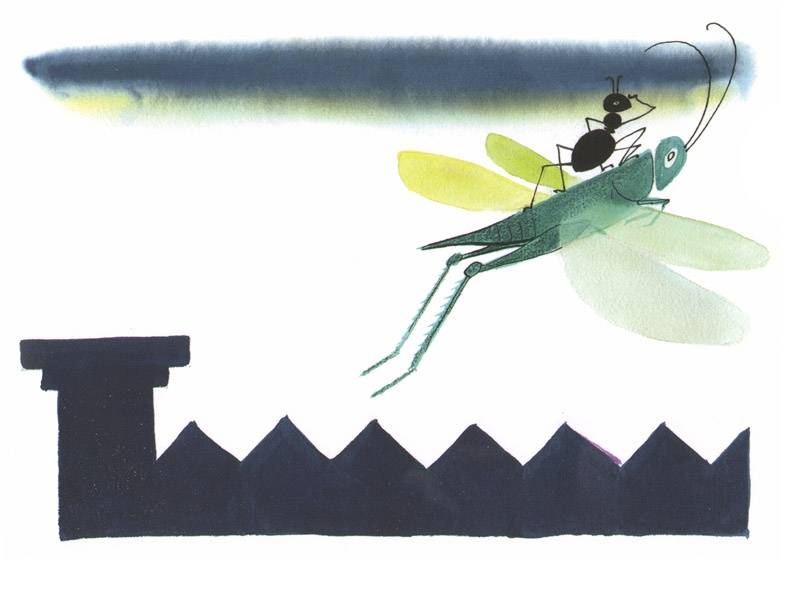 Иллюстрация 3 из 59 для Как муравьишка домой спешил - Виталий Бианки | Лабиринт - книги. Источник: Папмамбук