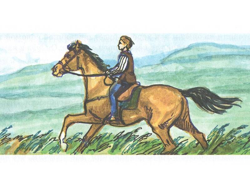 Иллюстрация 5 из 25 для Боевой конь - Майкл Морпурго | Лабиринт - книги. Источник: Папмамбук