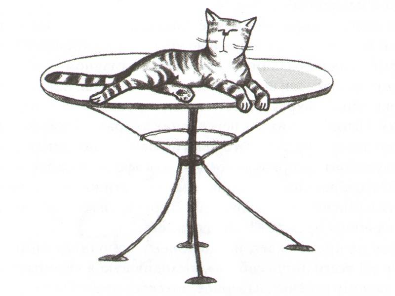 Иллюстрация 12 из 30 для Я всего лишь кошка - Ханна Йохансен | Лабиринт - книги. Источник: Папмамбук
