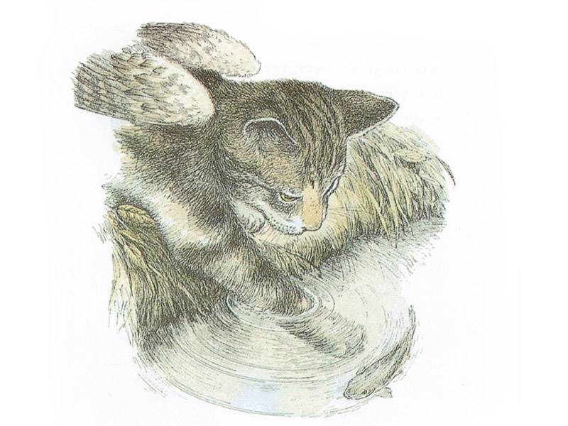 Иллюстрация 13 из 59 для Крылатые кошки - Гуин Ле | Лабиринт - книги. Источник: Папмамбук